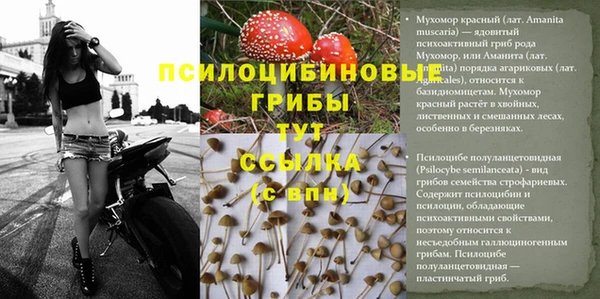 МДПВ Баксан