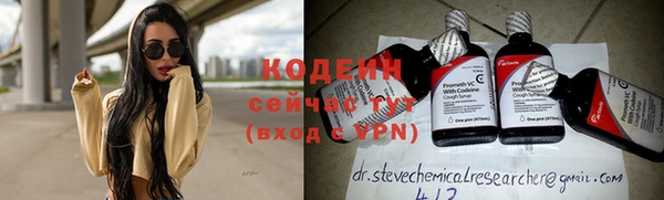 прущие грибы Белокуриха