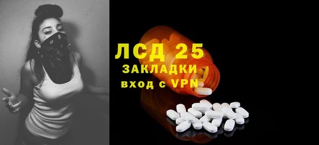 прущие грибы Белокуриха