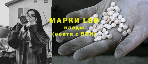 прущие грибы Белокуриха