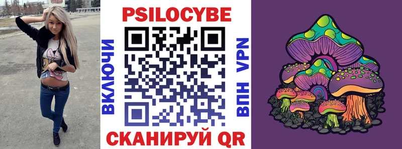 Купить  Белая Холуница  Псилоцибиновые грибы GOLDEN TEACHER 