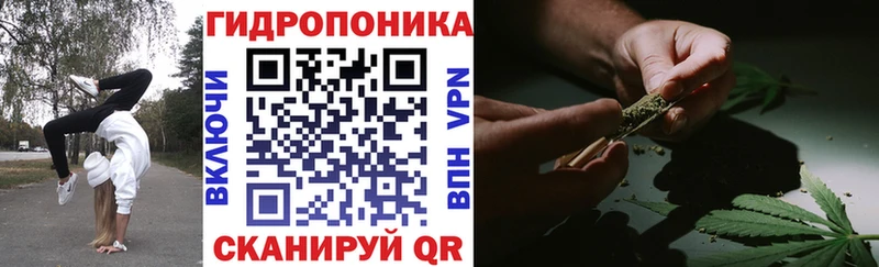 Купить где  Белая Холуница  Бошки Шишки сатива 